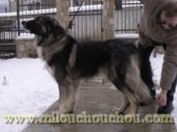 martin_20211129_1331110897